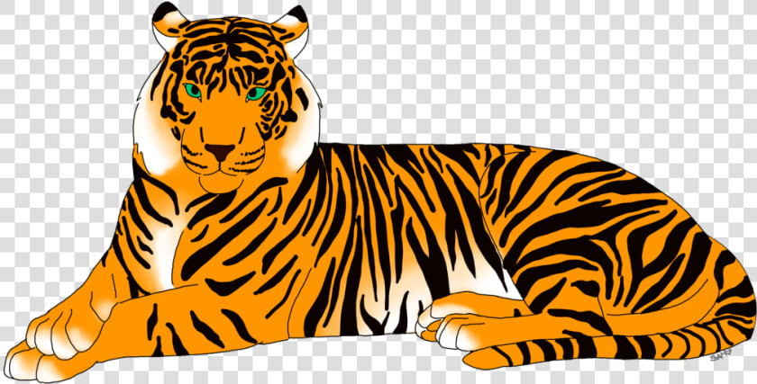 Tiger Whiskers Cat Clip Art   Siberian Tiger  HD Png DownloadTransparent PNG