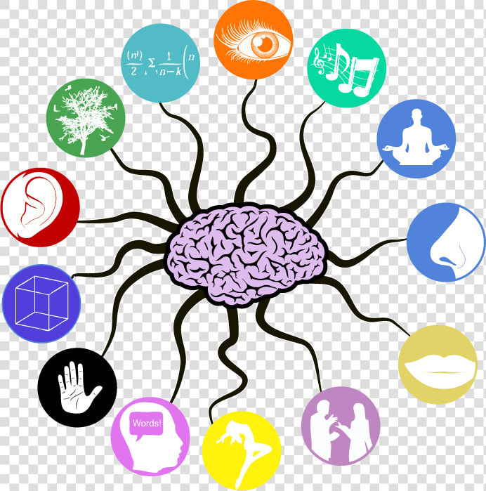 Multiple intelegences   Clipart Brain Memory  HD Png DownloadTransparent PNG
