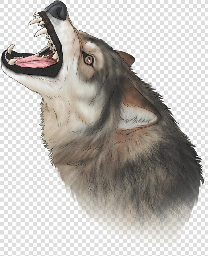 Wolf Nose Png   Cat Yawns  Transparent PngTransparent PNG