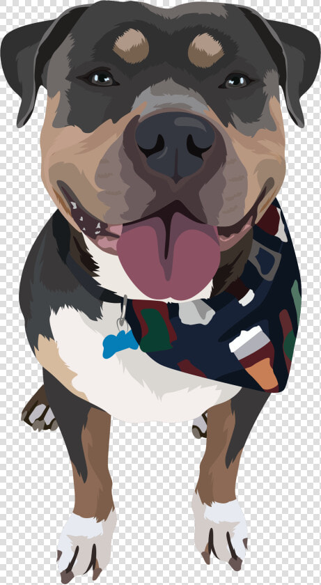 Pit Bull Terrier Png   Pitbull Dog Art Png  Transparent PngTransparent PNG