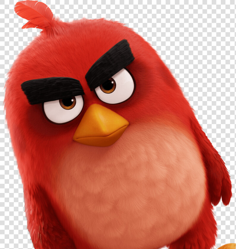 Transparent Angry Bird Png   Angry Bird Movie Hd  Png DownloadTransparent PNG
