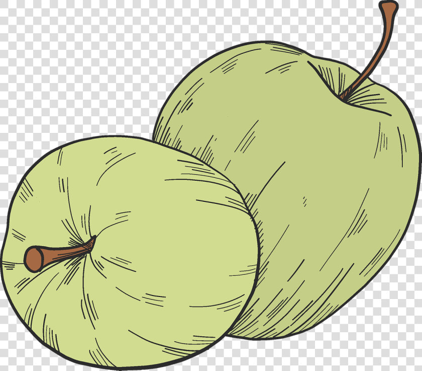 Winter Squash  HD Png DownloadTransparent PNG