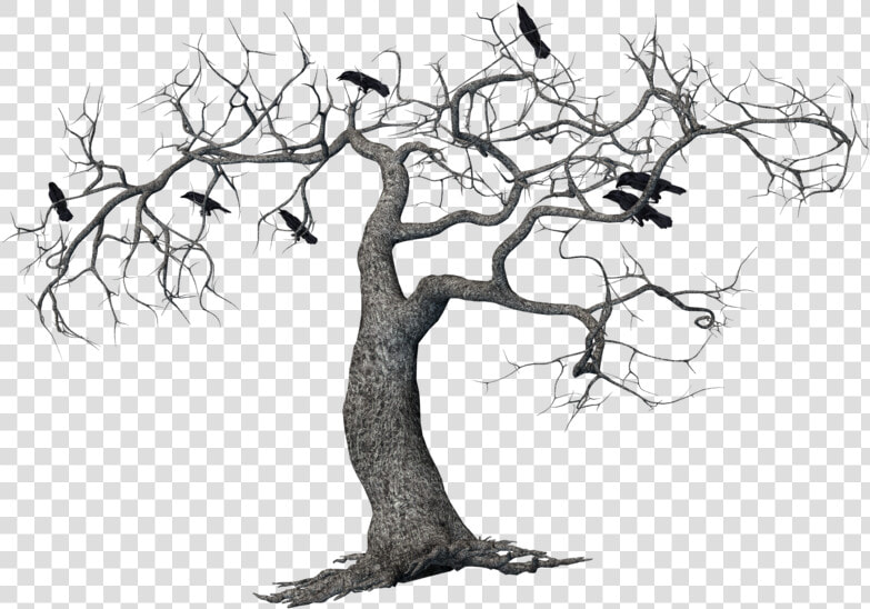 Crows On Tree Png Transparent  Png DownloadTransparent PNG