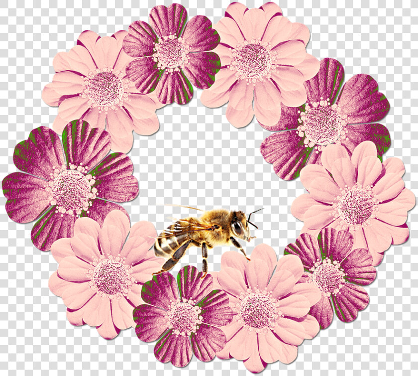 Flowers  Floral Wreath  Floral Decorations  Plant   Blumenkränze Png  Transparent PngTransparent PNG