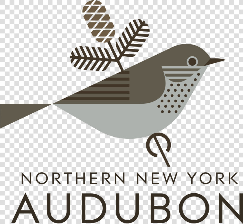 Audubon Logo History  HD Png DownloadTransparent PNG