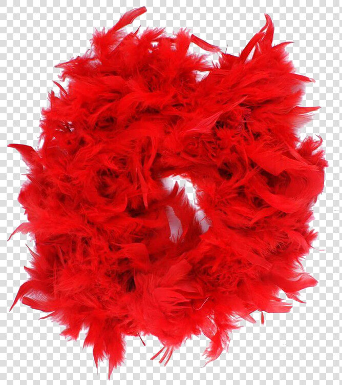 Feather Boa Png Free Download   Boa Obleceni  Transparent PngTransparent PNG