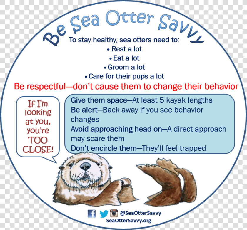 Kayakdecal2016 Sea Otter Savvy   Morro Bay Sea Otter Savvy Sticker  HD Png DownloadTransparent PNG