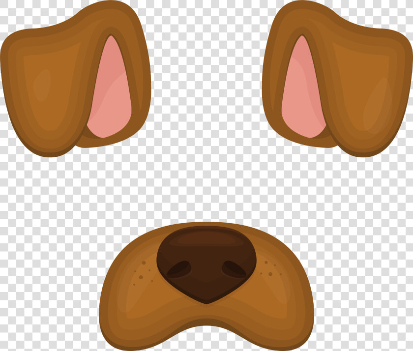 Border Collie Papillon Dog Rottweiler Chihuahua Dogo  HD Png DownloadTransparent PNG