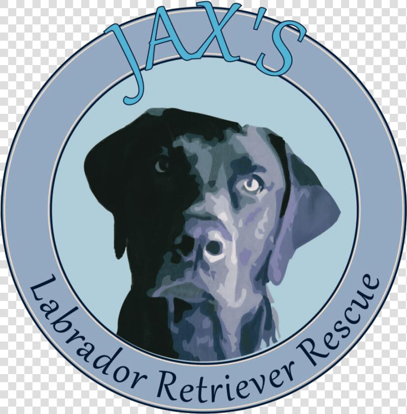 Jax  39 s Labrador Retriever Rescue  HD Png DownloadTransparent PNG