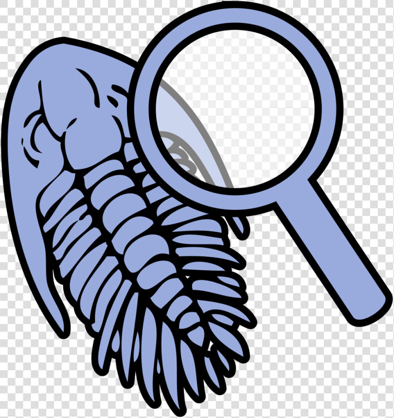 Fossils Clip Art  HD Png DownloadTransparent PNG