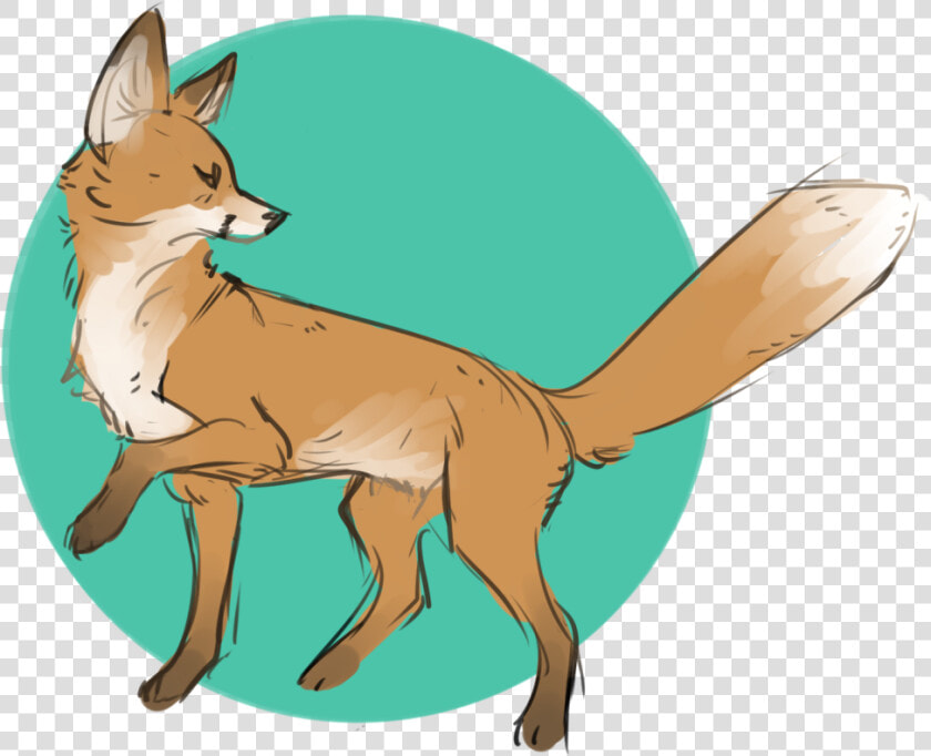 Fur   Png Download   Basenji  Transparent PngTransparent PNG