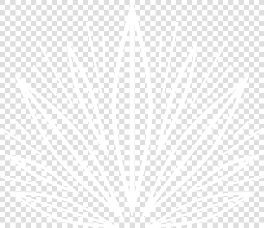 Bloom Farms   Illustration  HD Png DownloadTransparent PNG