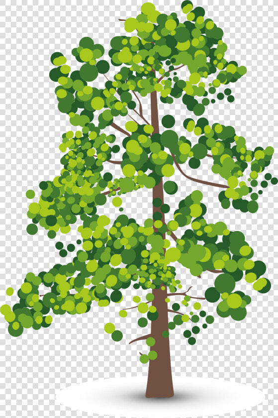 Aspen Tree Creative Perspective Olive Leaf Shadow Clipart   Lidar Number Of Returns  HD Png DownloadTransparent PNG