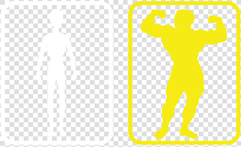 Bodybuilding  HD Png DownloadTransparent PNG