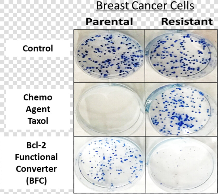 Blue And White Porcelain  HD Png DownloadTransparent PNG