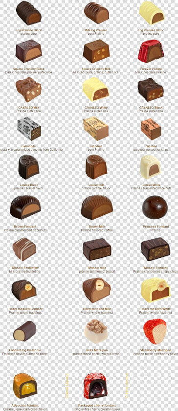 Leonidas Praline  HD Png DownloadTransparent PNG