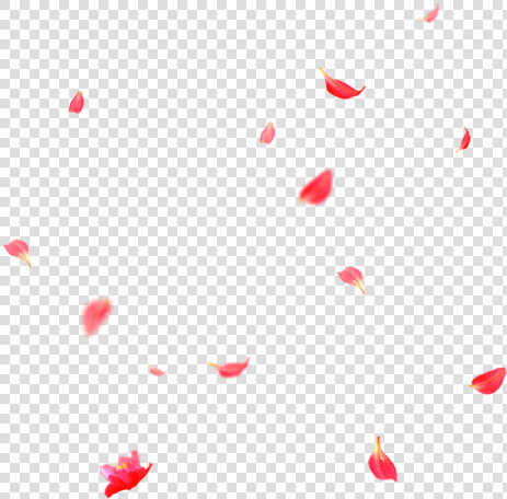 Beautiful Flower Petals Falling Png   Heart  Transparent PngTransparent PNG