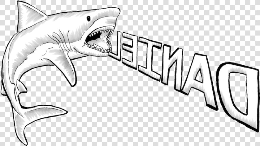 Great White Shark Drawing   Great White Shark Shark Drawing  HD Png DownloadTransparent PNG
