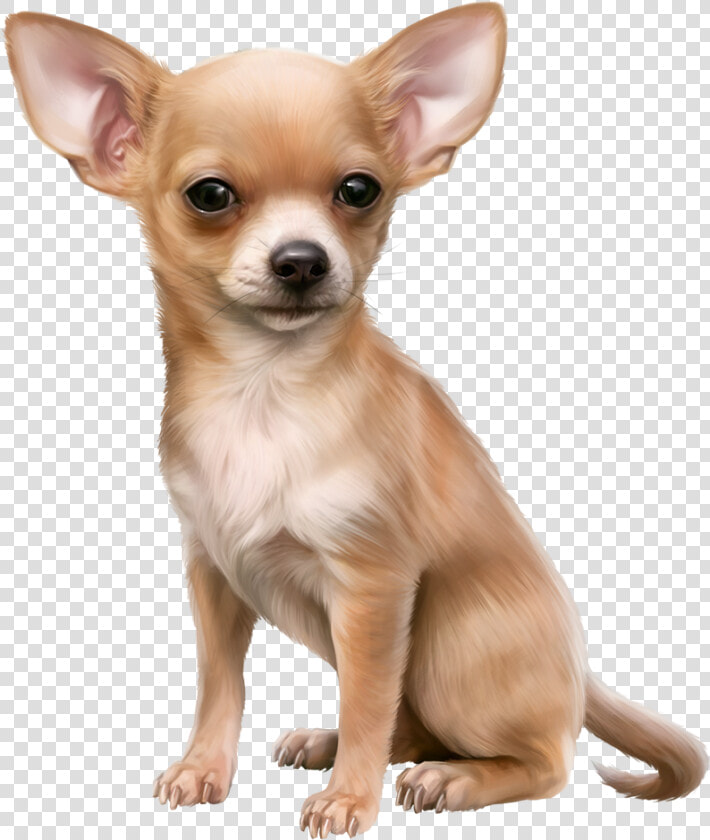 Chihuahua Clipart Cute Chihuahua   Chihuahua Clipart  HD Png DownloadTransparent PNG