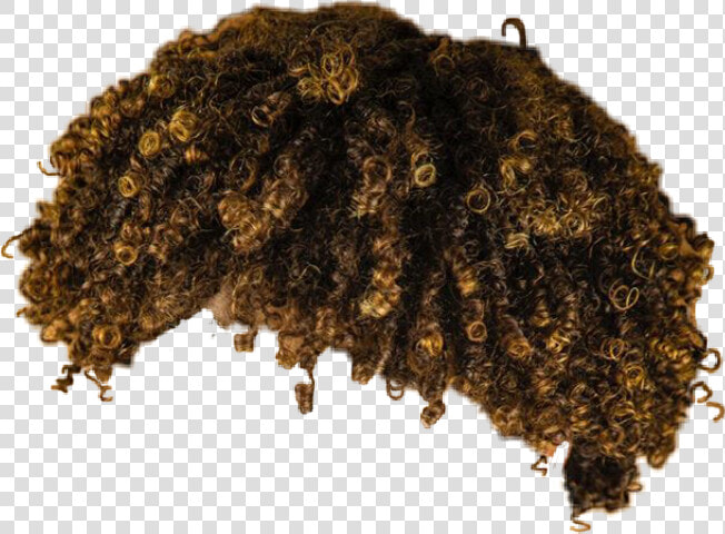 Fjj Freetoedit   Lace Wig  HD Png DownloadTransparent PNG