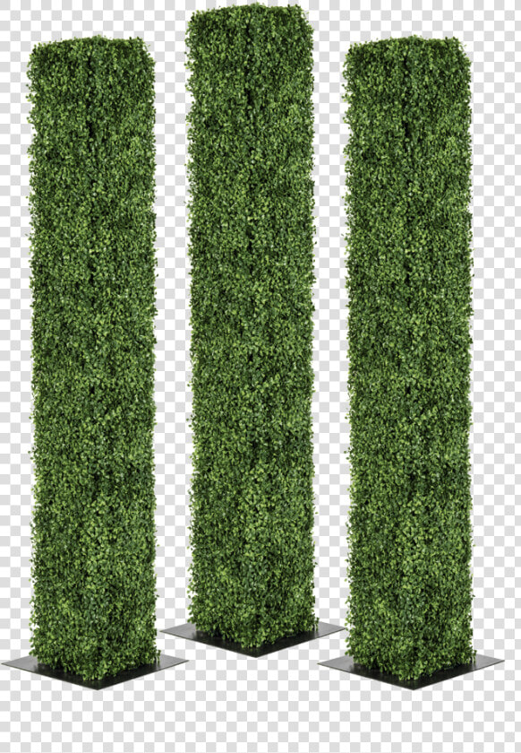 Transparent Pillars Png   Hedge  Png DownloadTransparent PNG