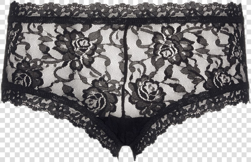  panty  slip  briefs  boyshorts  lingerie  underwear  HD Png DownloadTransparent PNG