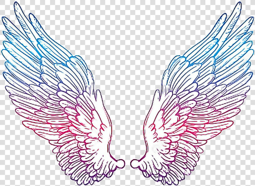  angelwings  drawing  colorful   Hour Glass With Wings  HD Png DownloadTransparent PNG