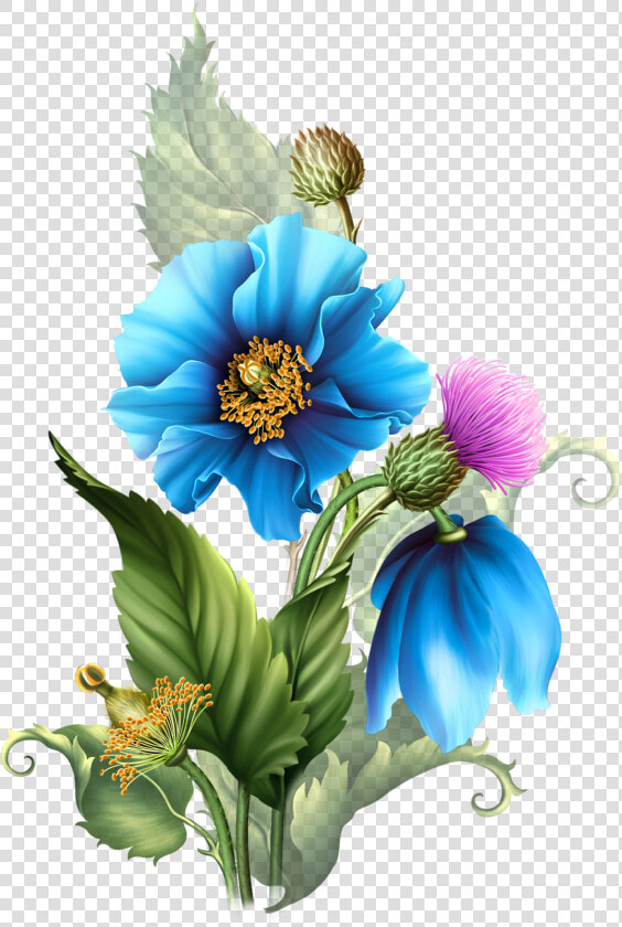 Centerblog Flowers  HD Png DownloadTransparent PNG