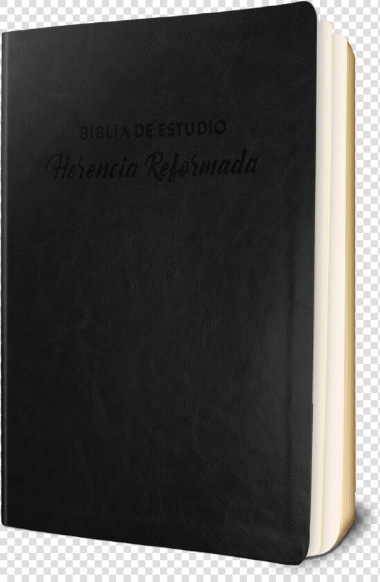 Biblia Png  Transparent PngTransparent PNG
