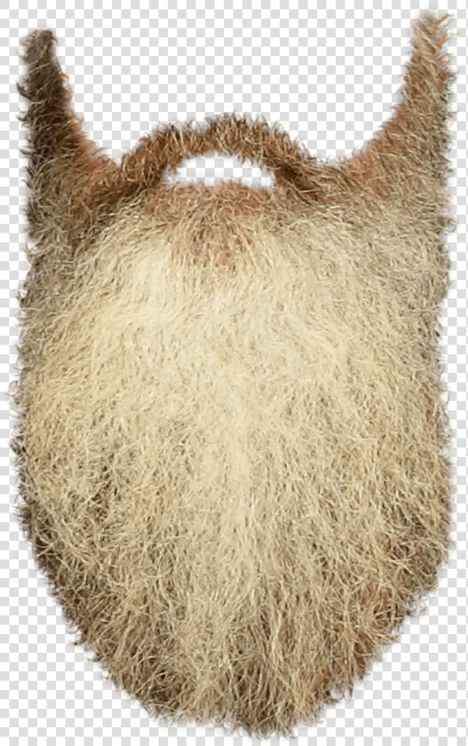 Beard Clip Art   Long Beard Transparent Background  HD Png DownloadTransparent PNG