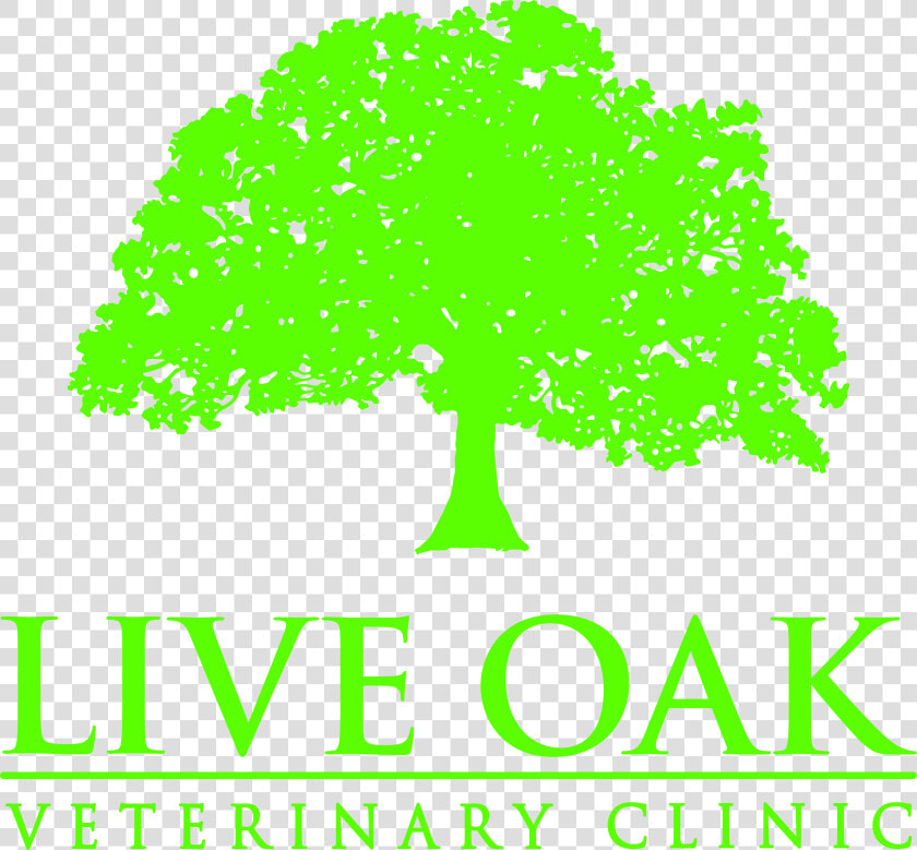 White Oak Commercial Finance  HD Png DownloadTransparent PNG