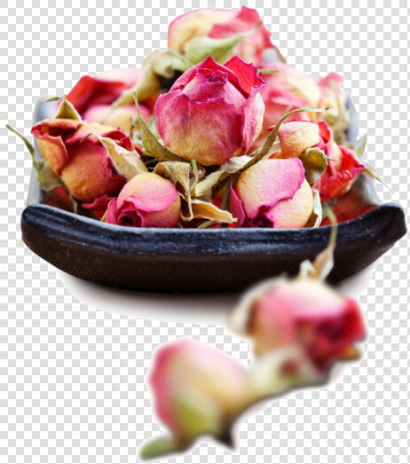 Ayurveda Flowers  HD Png DownloadTransparent PNG
