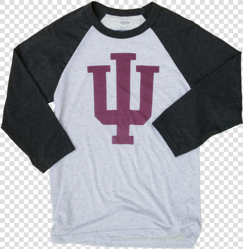Indiana University Indianapolis Logo  HD Png DownloadTransparent PNG