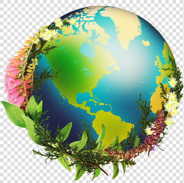 Chrysalis Natural Medicine   Globe  HD Png DownloadTransparent PNG