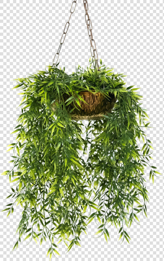 Hanging Plants Png   Hanging Flower Pots Png  Transparent PngTransparent PNG