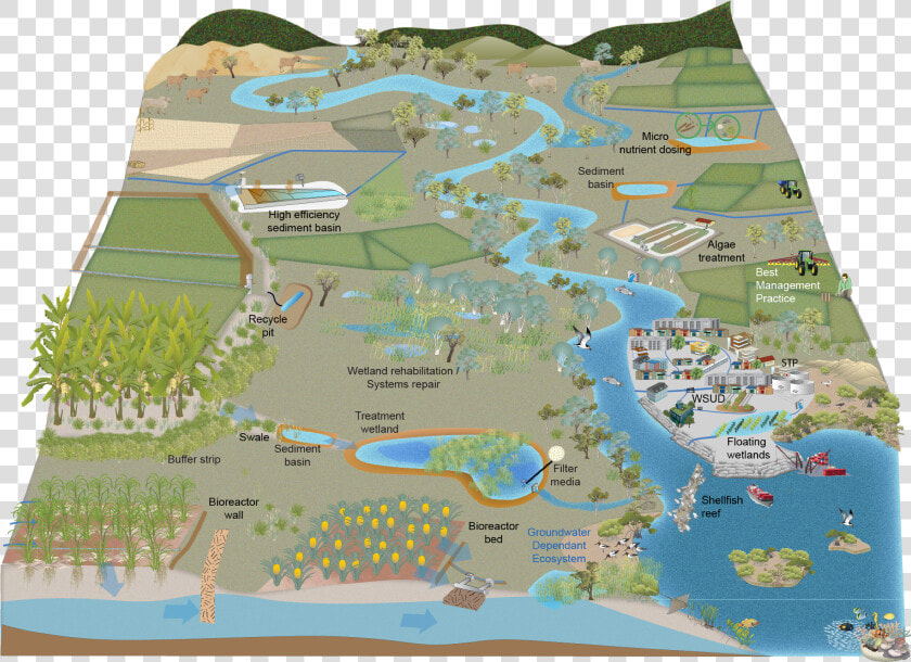 Wetland Png  Transparent PngTransparent PNG