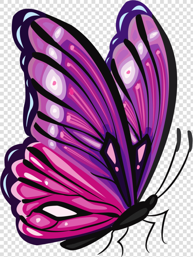 Purple Butterfly Png Clipart Picture Cliparts   Purple And Pink Butterfly Png  Transparent PngTransparent PNG