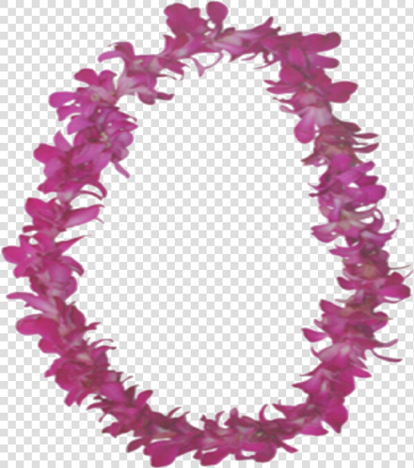 Lei Png   Hawaii Lei Png  Transparent PngTransparent PNG