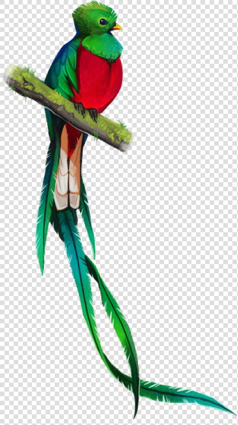 Clip Art Pin By Josie Morales  HD Png DownloadTransparent PNG