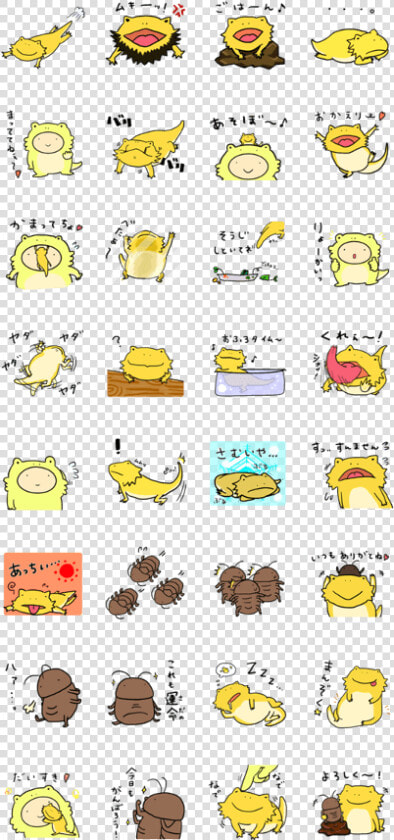 With Bearded Dragon  HD Png DownloadTransparent PNG