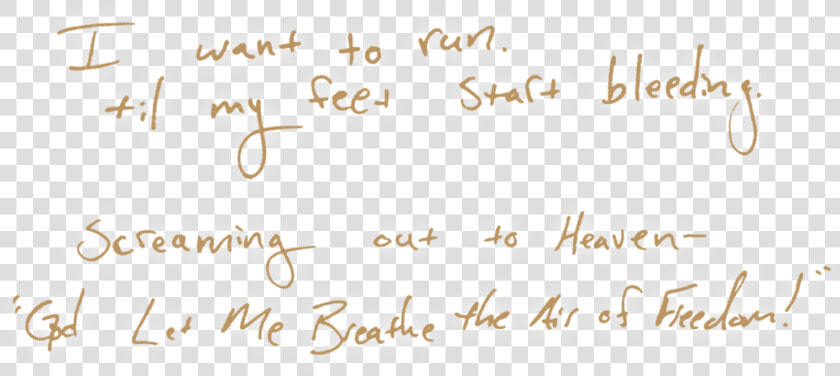Wild Lyric Callout 2   Light  HD Png DownloadTransparent PNG