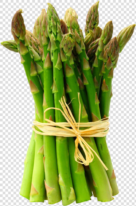 Download Asparagus Transparent Background   Asparagus In Tamil Nadu  HD Png DownloadTransparent PNG
