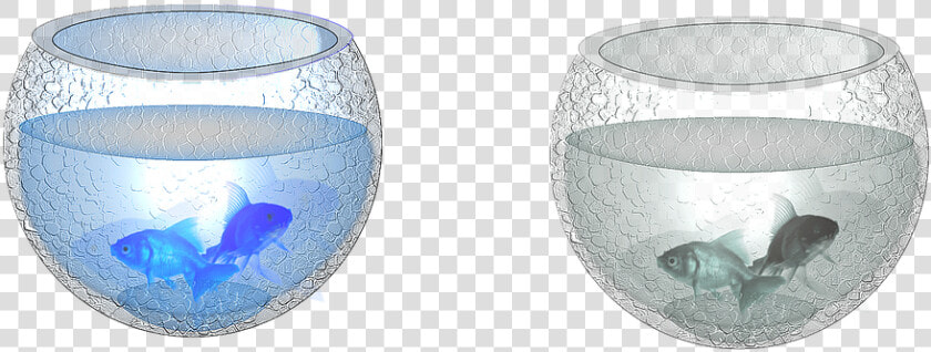Aquarium  Container  Bowl  Fish  Red Fish  Drawing   Ceramic  HD Png DownloadTransparent PNG