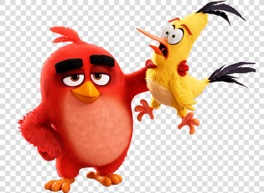 Red Birds And Cartoon   Angry Birds Red X Stella  HD Png DownloadTransparent PNG