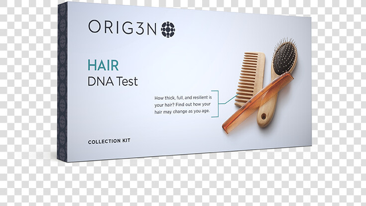 Hair Dna Test Class   Hair Dna Test  HD Png DownloadTransparent PNG