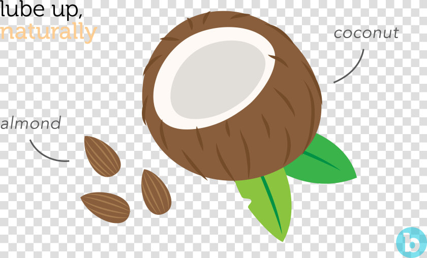 Coconut Oil Is Often Considered As The Best Lube For   Illustration  HD Png DownloadTransparent PNG