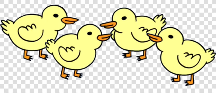 Ducks Regular Show Wiki   Baby Ducks From Regular Show  HD Png DownloadTransparent PNG