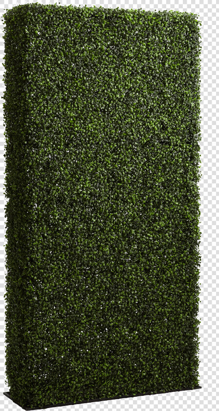 Hedge  HD Png DownloadTransparent PNG