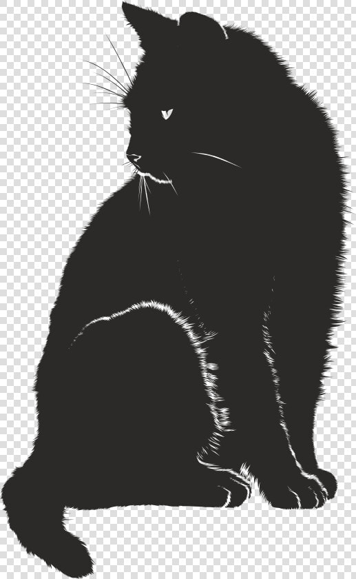 Free Clipart Of A Black And White Sitting Cat   Black Cat Graphic  HD Png DownloadTransparent PNG