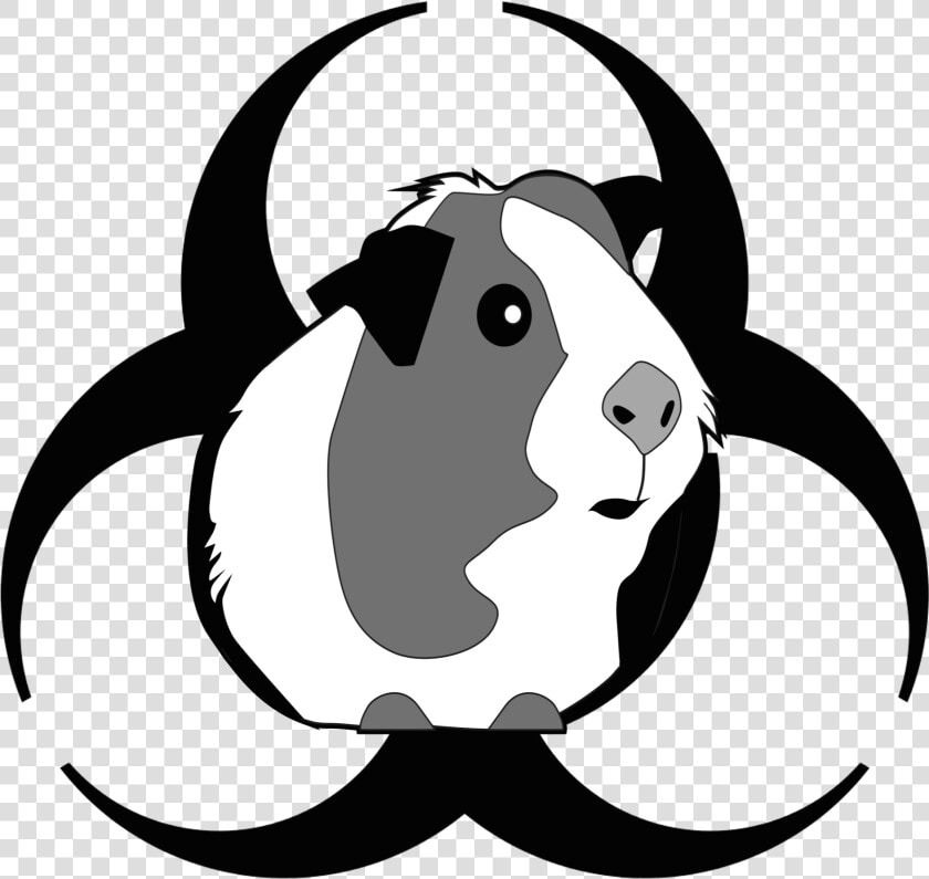Attack Of The Peruvian Guinea Pig Death Flu   Png Download   Cute Guinea Pig Clipart  Transparent PngTransparent PNG